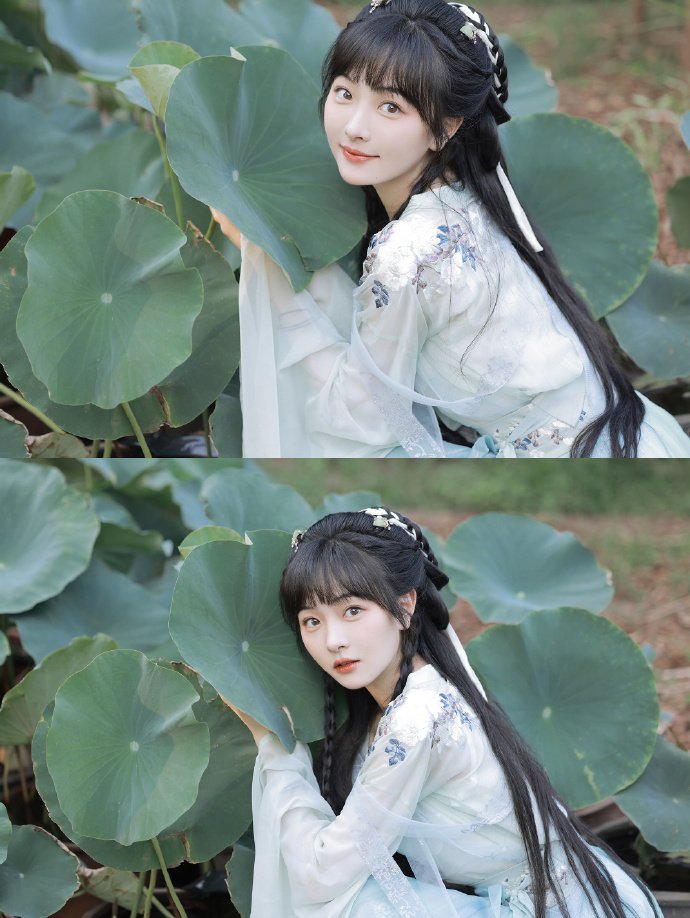 扫黑风暴 封面