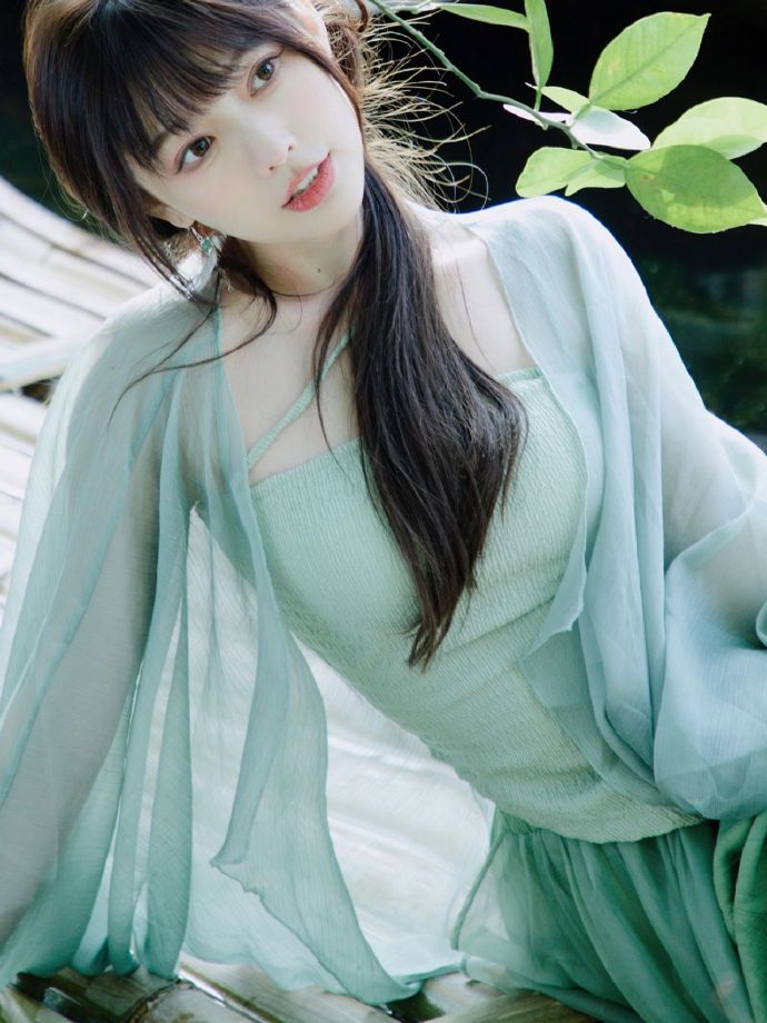 绿皮书